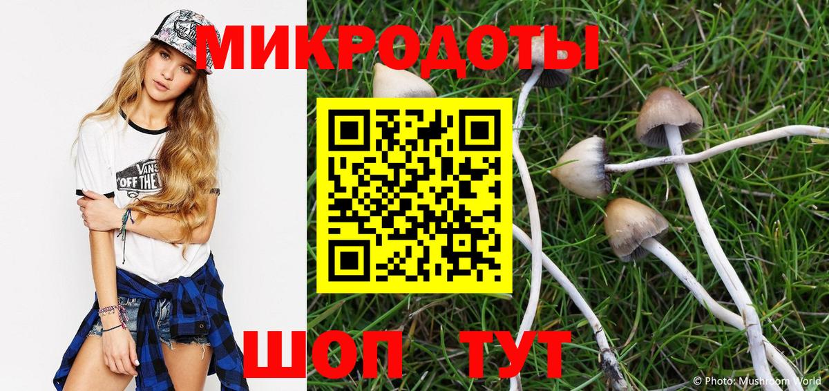 Галлюциногенные грибы Psilocybe  Вход с VPN  Вичуга 