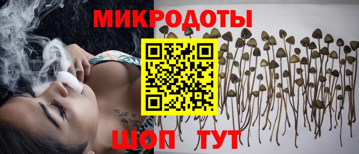 Псилоцибиновые грибы Cubensis Вичуга